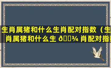 生肖属猪和什么生肖配对指数（生肖属猪和什么生 🌾 肖配对指数最高）